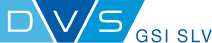 DVS GSI SLV